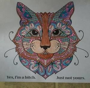 Meet your Posher, Char